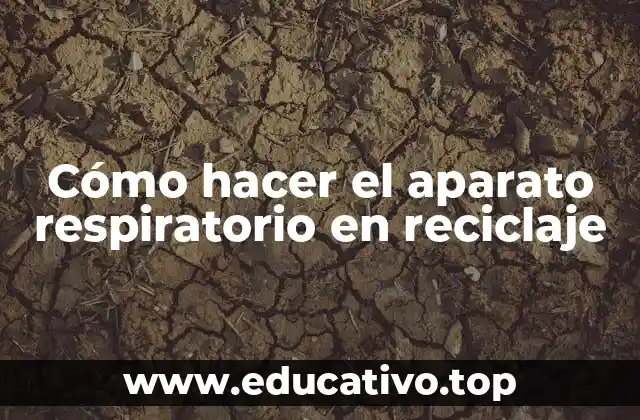 Cómo hacer el aparato respiratorio en reciclaje