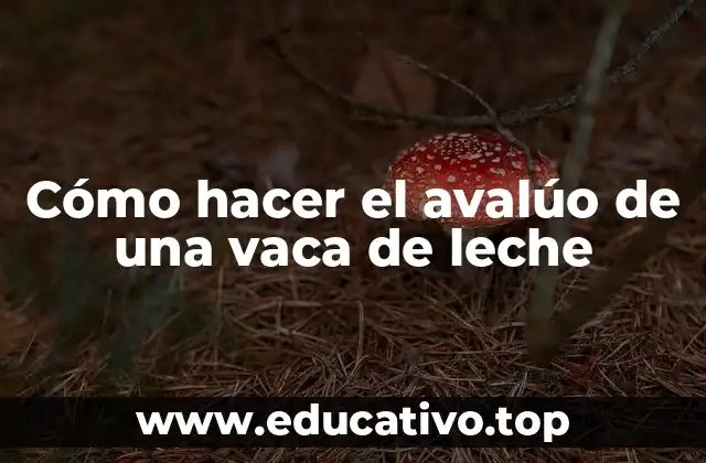 Cómo hacer el avalúo de una vaca de leche