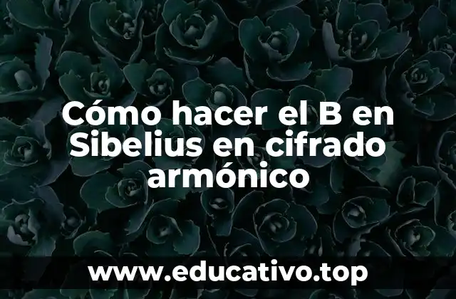 Cómo hacer el B en Sibelius en cifrado armónico
