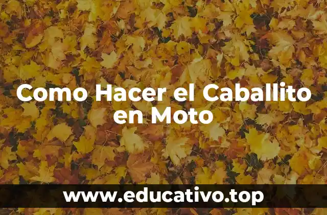 Como Hacer el Caballito en Moto