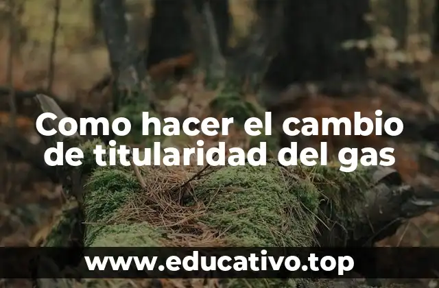 Como hacer el cambio de titularidad del gas