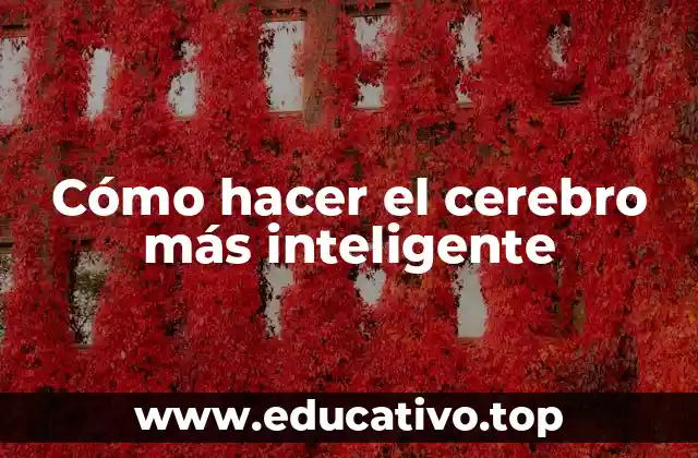 Cómo hacer el cerebro más inteligente