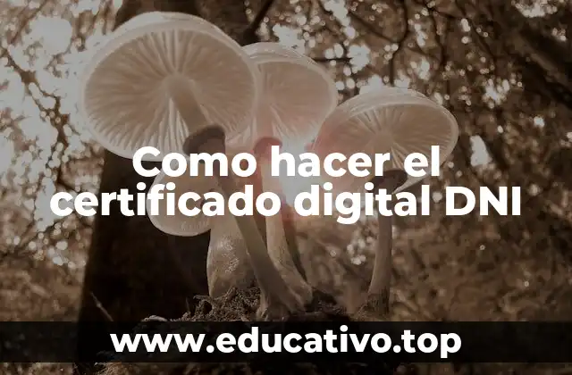 Como hacer el certificado digital DNI
