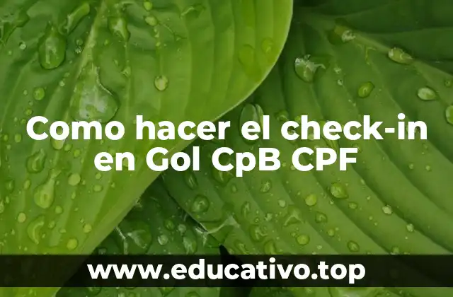 Como hacer el check-in en Gol CpB CPF