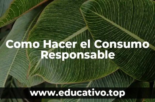 Como Hacer el Consumo Responsable