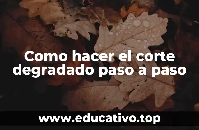 Como hacer el corte degradado paso a paso