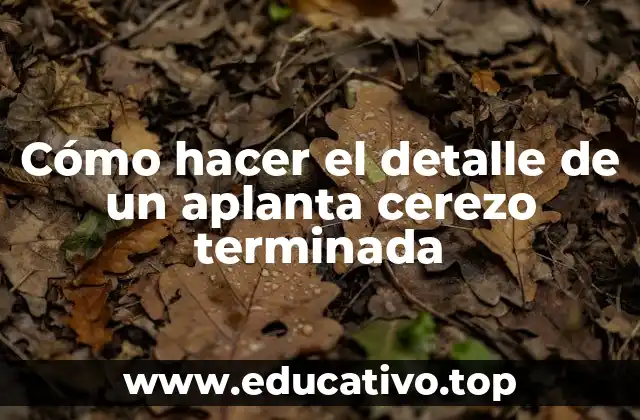 Cómo hacer el detalle de un aplanta cerezo terminada
