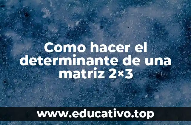 Como hacer el determinante de una matriz 2×3