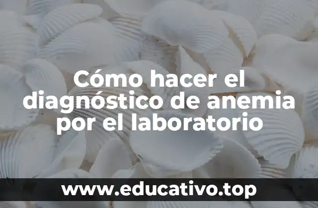 Cómo hacer el diagnóstico de anemia por el laboratorio