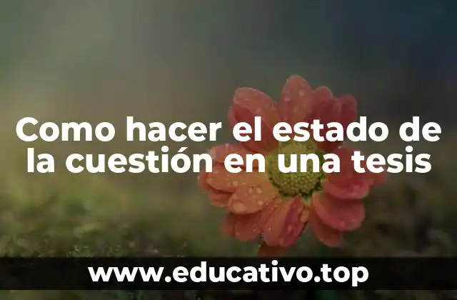 Como hacer el estado de la cuestión en una tesis