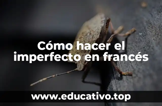 Cómo hacer el imperfecto en francés