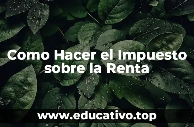 Como Hacer el Impuesto sobre la Renta