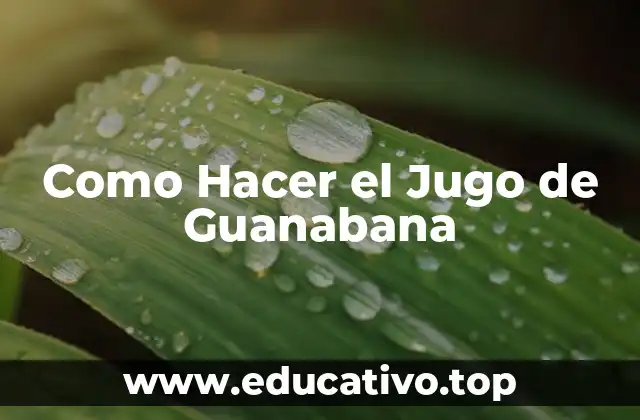 Como Hacer el Jugo de Guanabana