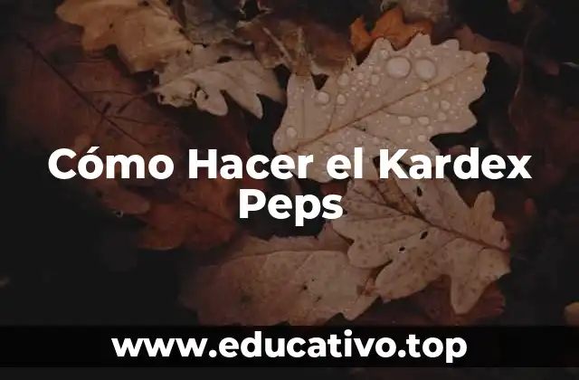 Cómo Hacer el Kardex Peps