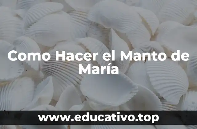 Como Hacer el Manto de María