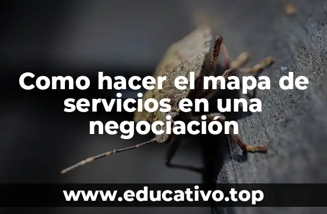 Como hacer el mapa de servicios en una negociación