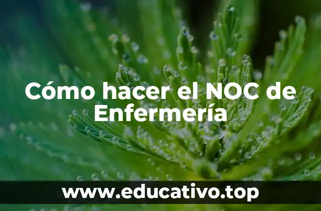 ¿Qué es un NOC de Enfermería y para qué sirve?