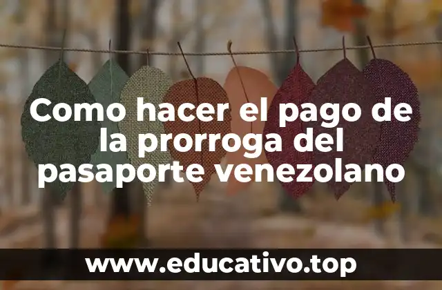 Como hacer el pago de la prorroga del pasaporte venezolano