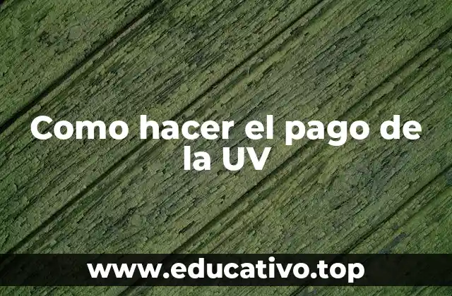 Como hacer el pago de la UV