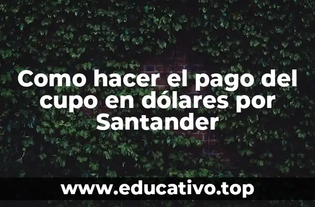 Como hacer el pago del cupo en dólares por Santander
