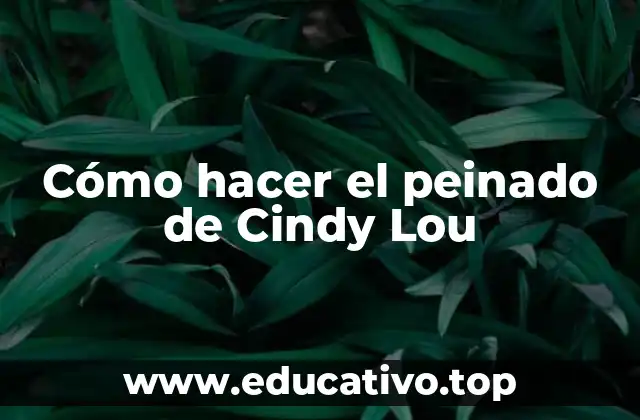 Cómo hacer el peinado de Cindy Lou