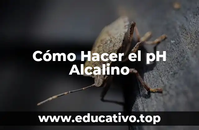 Cómo Hacer el pH Alcalino