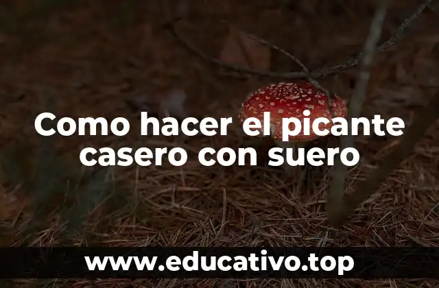 Como hacer el picante casero con suero