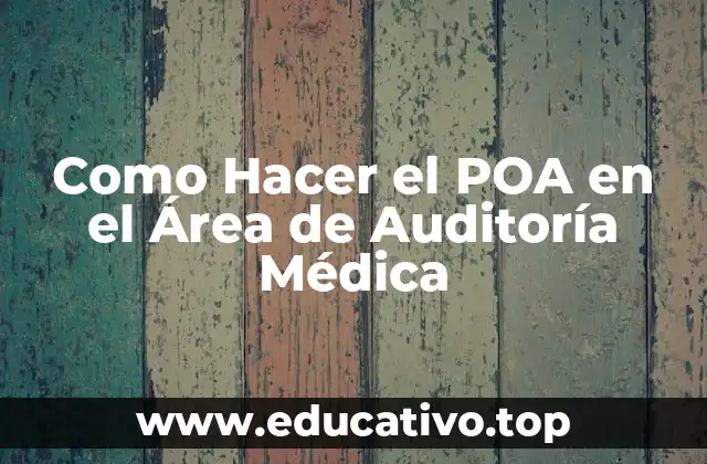 Como Hacer el POA en el Área de Auditoría Médica