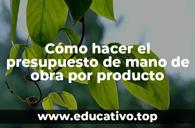 Cómo hacer el presupuesto de mano de obra por producto
