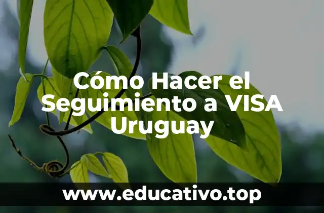 Cómo Hacer el Seguimiento a VISA Uruguay