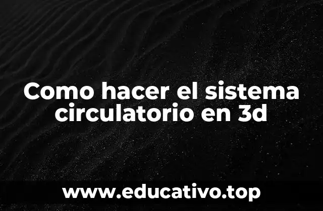Como hacer el sistema circulatorio en 3d