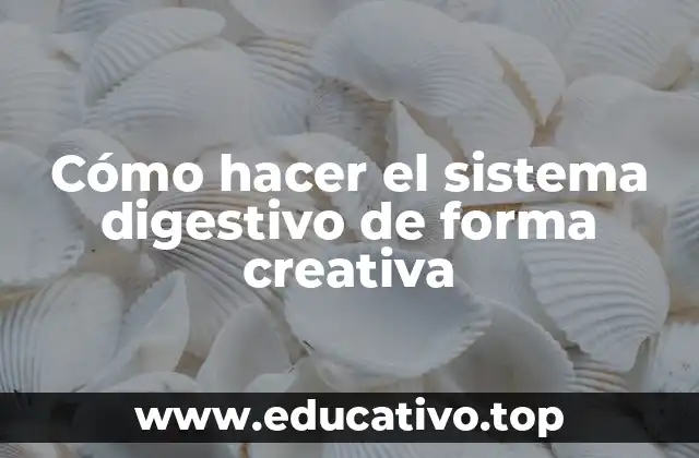 Cómo hacer el sistema digestivo de forma creativa
