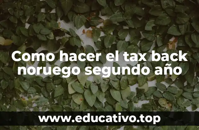 Como hacer el tax back noruego segundo año
