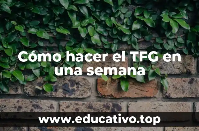Cómo hacer el TFG en una semana
