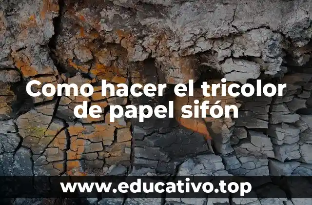Como hacer el tricolor de papel sifón