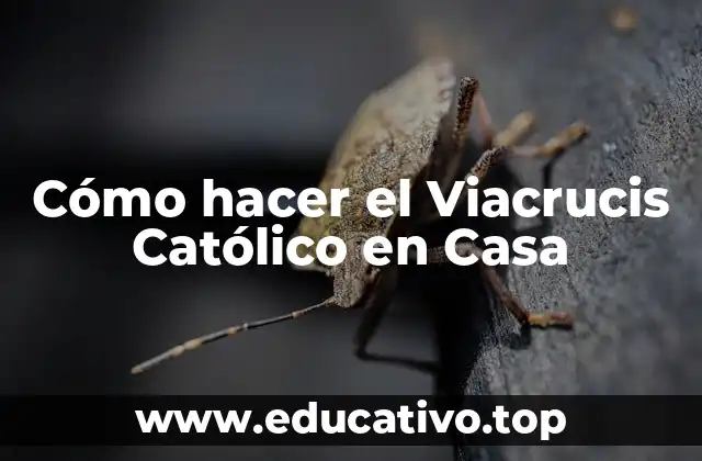 Cómo hacer el Viacrucis Católico en Casa