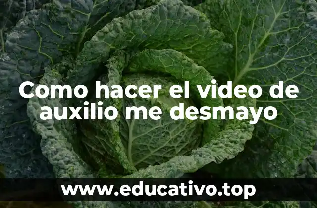 Como hacer el video de auxilio me desmayo