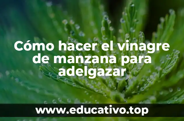 Cómo hacer el vinagre de manzana para adelgazar