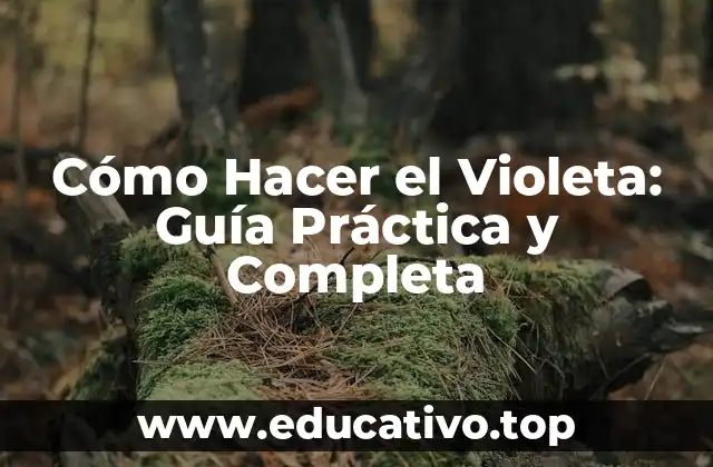 Cómo Hacer el Violeta: Guía Práctica y Completa