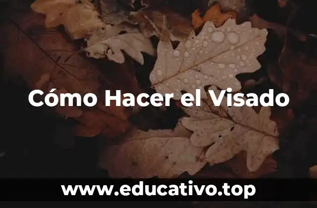 Cómo Hacer el Visado