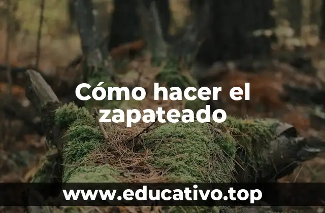 Cómo hacer el zapateado