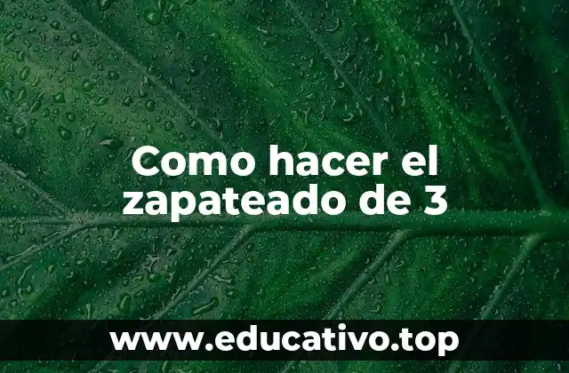Como hacer el zapateado de 3