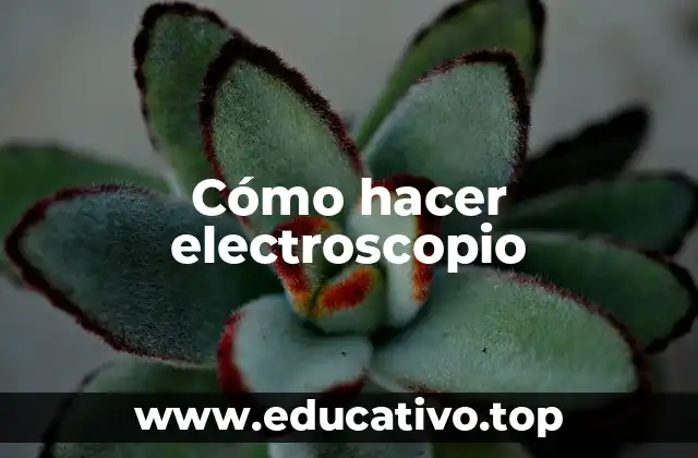 Cómo hacer electroscopio