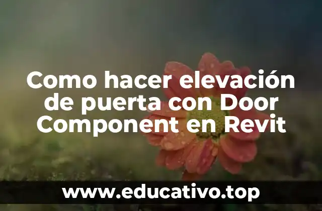 Como hacer elevación de puerta con Door Component en Revit