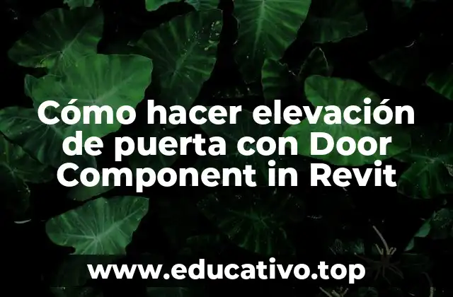 Cómo hacer elevación de puerta con Door Component in Revit