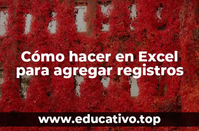 Cómo hacer en Excel para agregar registros