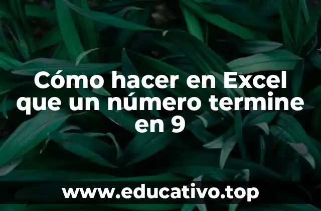 Cómo hacer en Excel que un número termine en 9