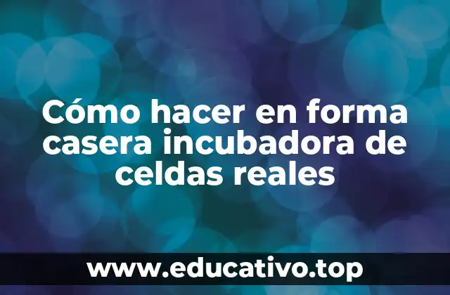 Cómo hacer en forma casera incubadora de celdas reales