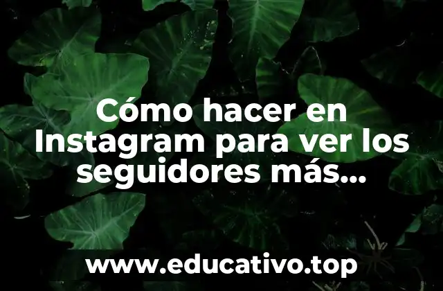 Cómo hacer en Instagram para ver los seguidores más recientes