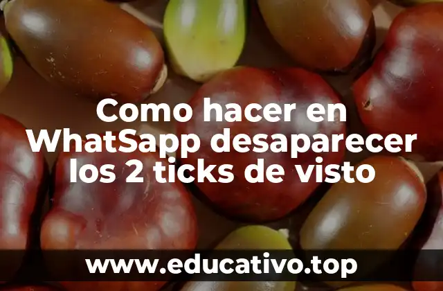Como hacer en WhatSapp desaparecer los 2 ticks de visto